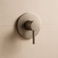 Valencia Brushed Nickel Round Wall Mixer
